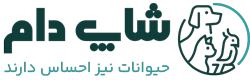 شاپ دام | پت شاپ